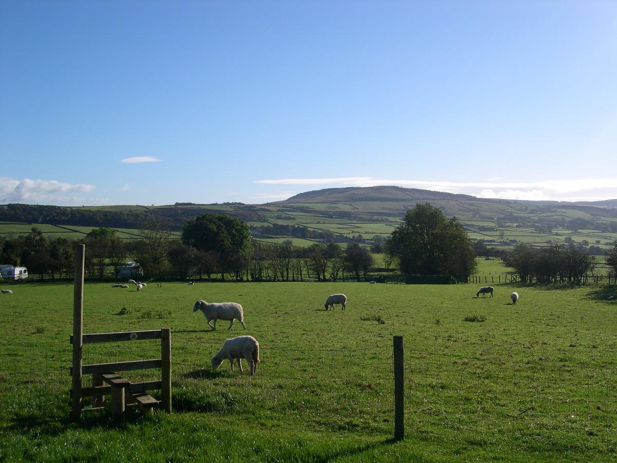 SilsdenPickersgill Manor Farm住宿加早餐旅馆 外观 照片